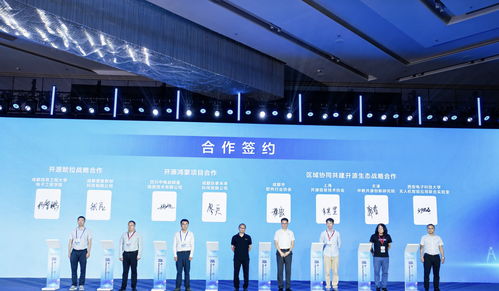 85條供需信息集中發布，成都開源生態建設大會引領軟件技術推廣新浪潮